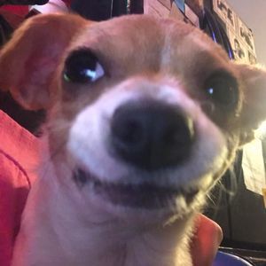 Meet your Posher, Adyson